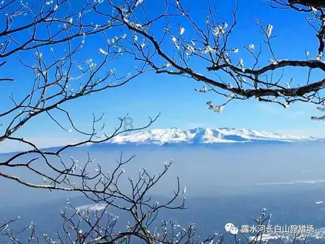 刺客信条：大革命