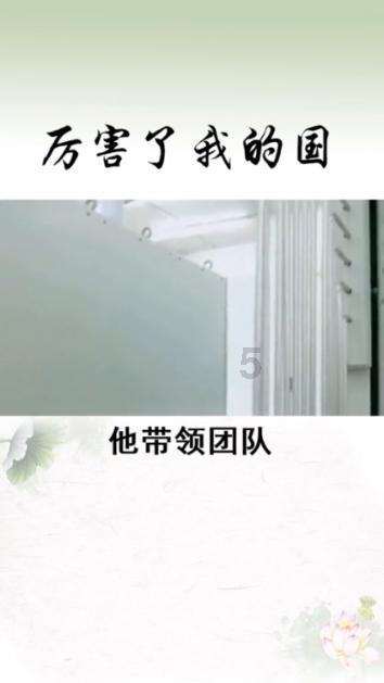 小猫钓鱼正版下载中文版