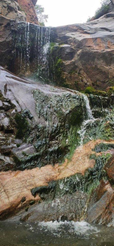关于钟南山院士发出的“双节”提醒，你有何看法？游戏画面