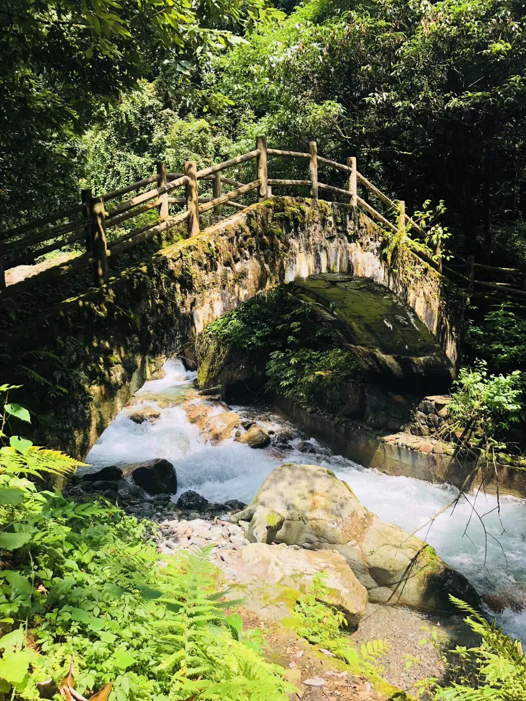 大家做帝王蟹都是怎么做的？游戏画面